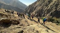 gallery_latest_0